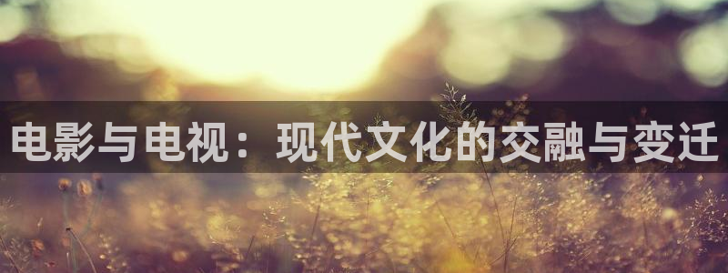 丝瓜视频下载网站：电影与电视：现代文化的交融与变迁