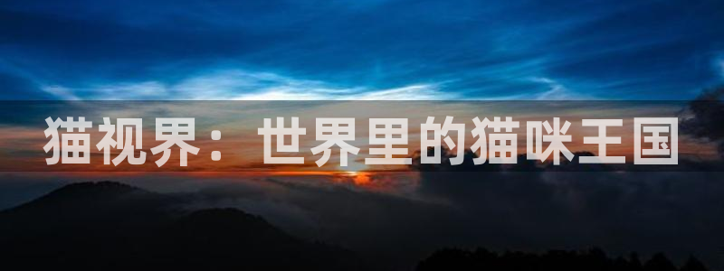 丝瓜视频污版：猫视界：世界里的猫咪王国
